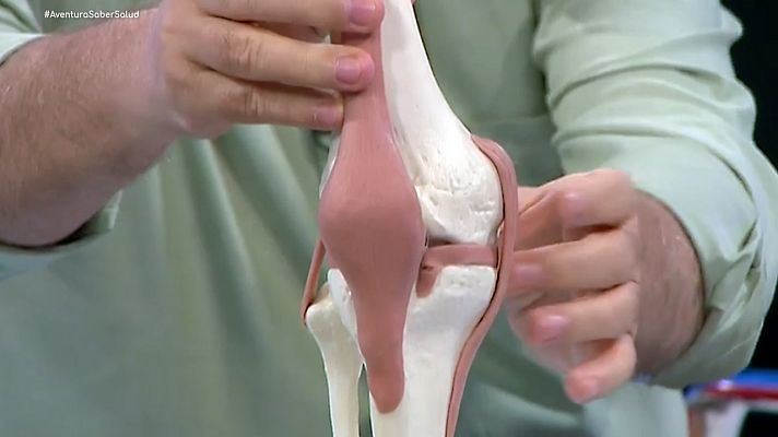 La aventura del Saber - La artrosis, con Nicolás Romero