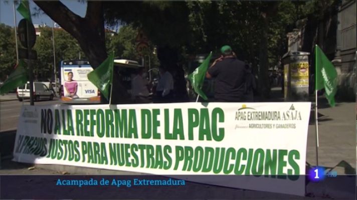 Acampada de Apag Extremadura frente al Ministerio de Agricultura