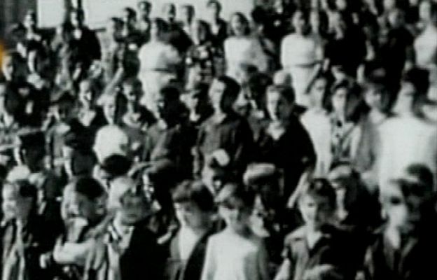 Informe Semanal - Niños de Morelia