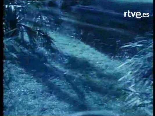 La bola de cristal - La Dama se esconde 'El gris'