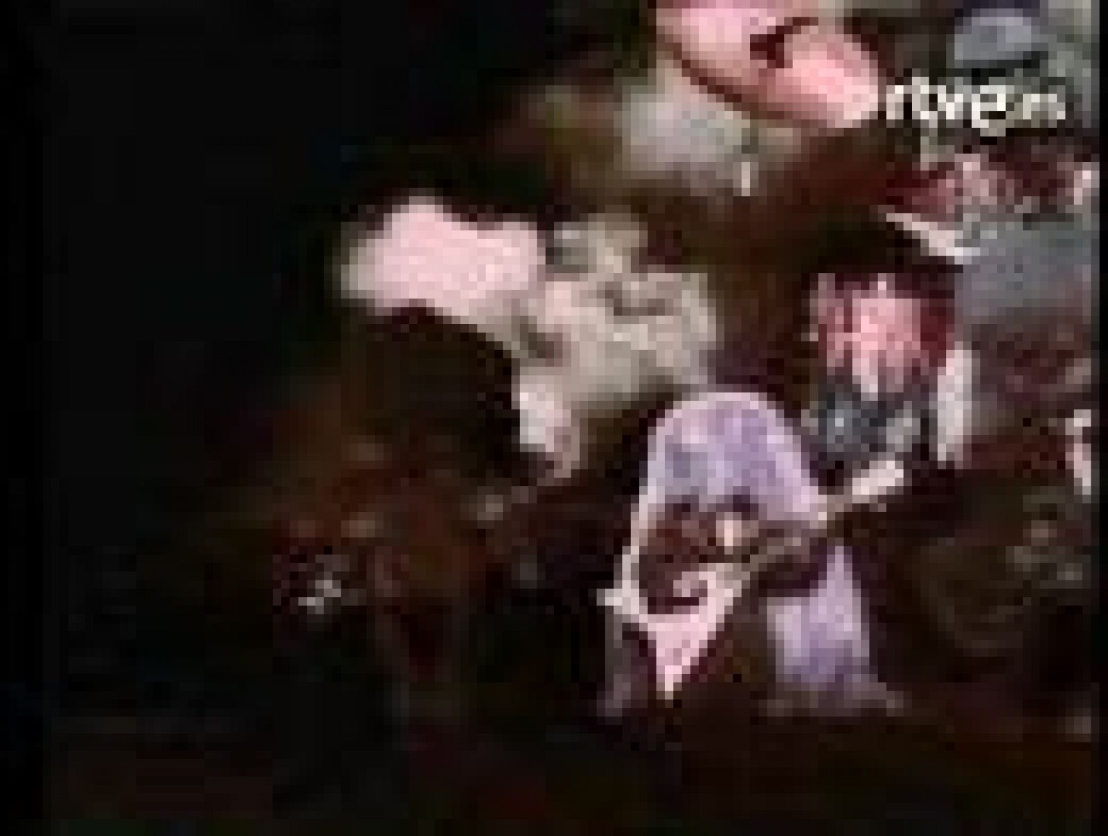 Bola de cristal - Los Electroduendes: Elefantes Rosas | Ver