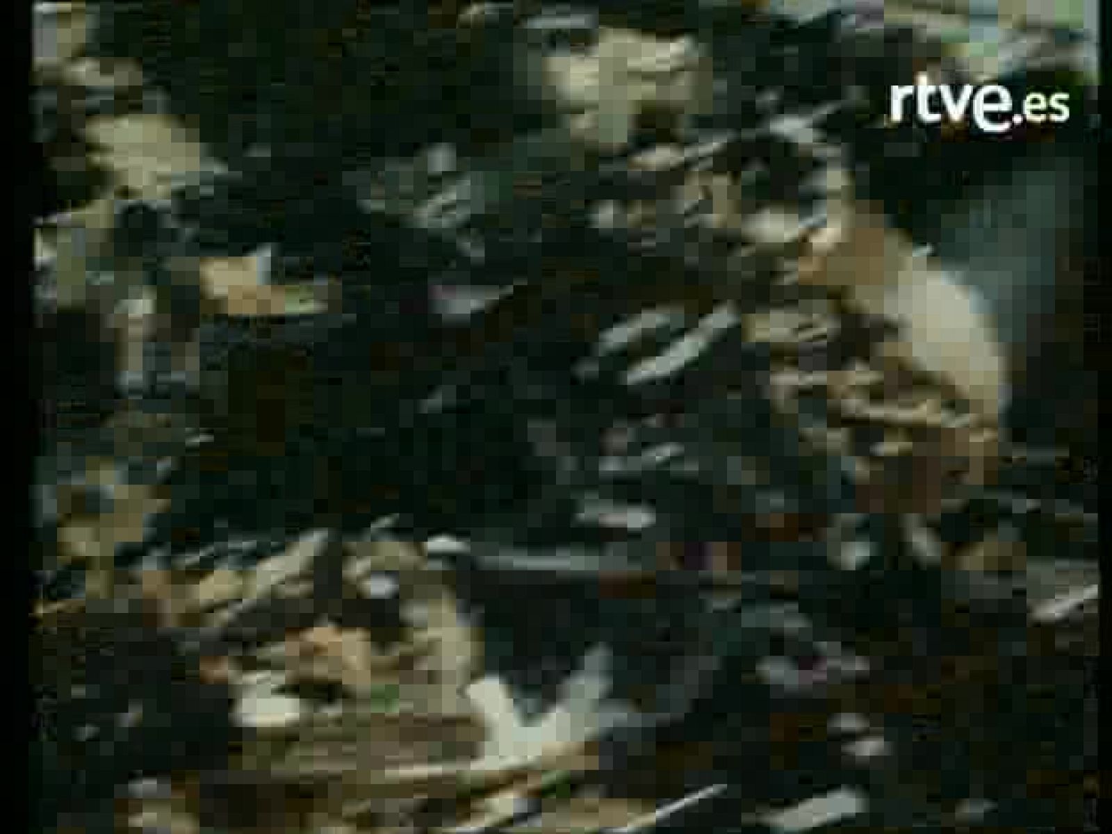 Bola de cristal - Acordes en espiral: Ángel Altolaguirre 'Johnny Tornillo' | Ver