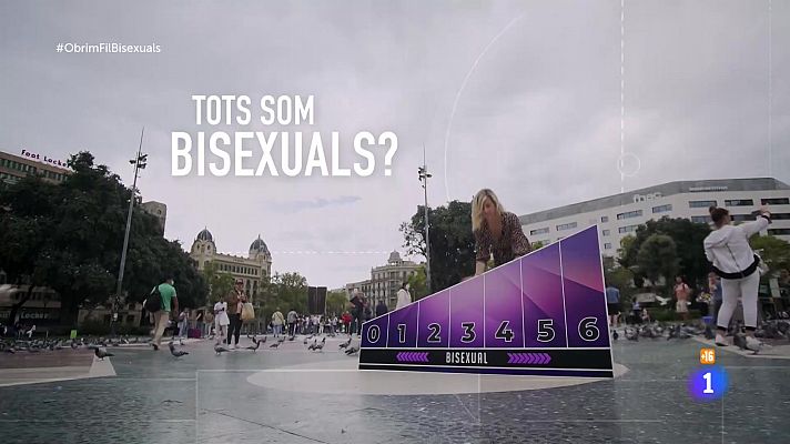 Enquesta al carrer sobre la bisexualitat