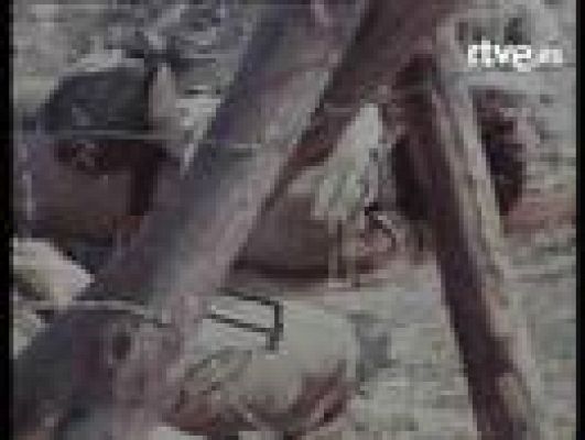 La bola de cristal - El último de la fila 'Querida ...'