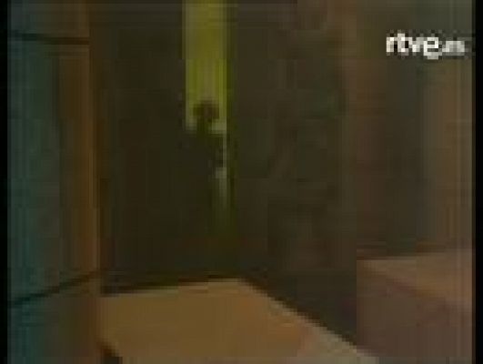 La bola de cristal - Vidas ejemplares 'Ducky Donald'