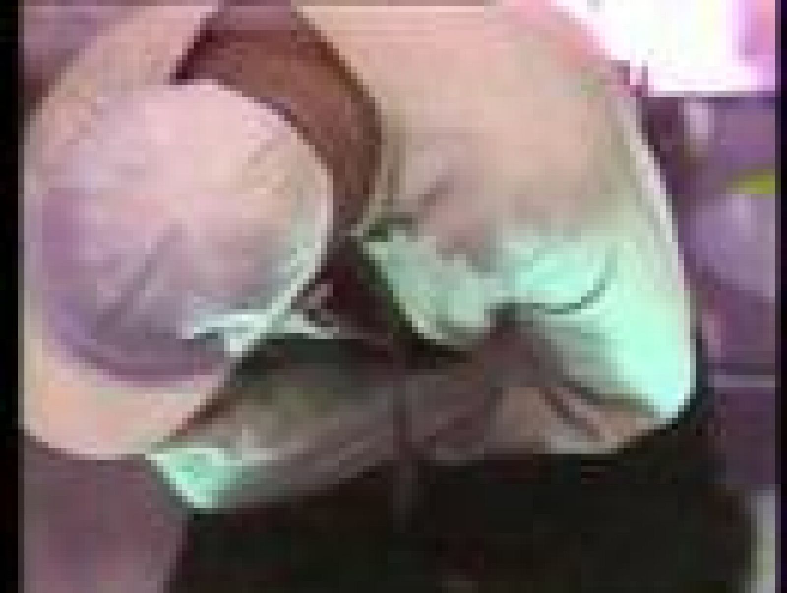 Bola de cristal - Acordes en espiral: Santiago Auserón 'Siempre seré un niño' | Ver