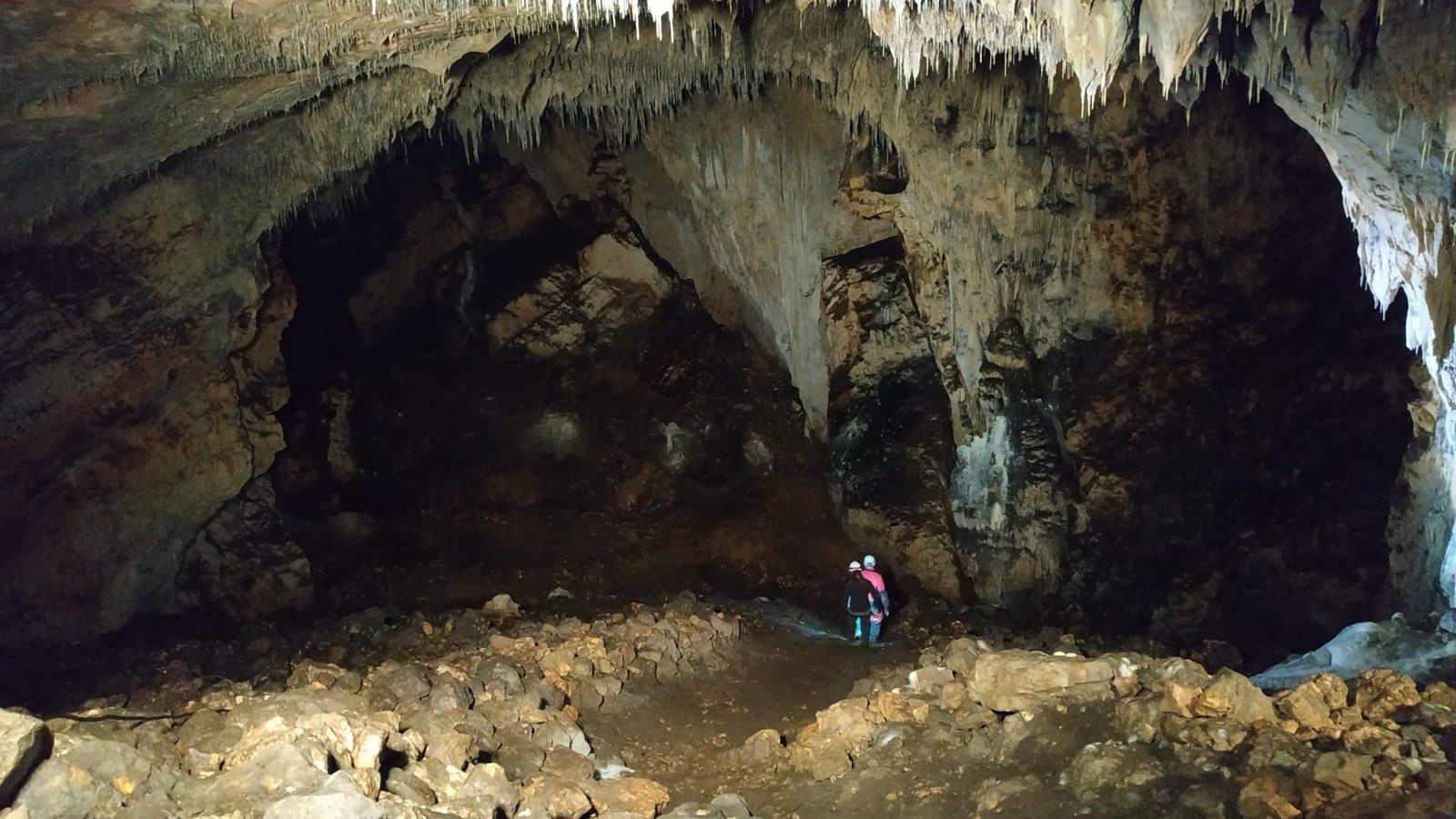 Revolución Atapuerca, el puzle de la evolución