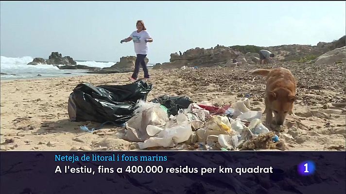 Informatiu Balear - Un dia europeu per fer net les platges