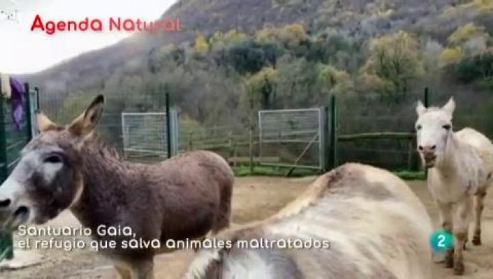 La aventura del Saber - Agenda natural