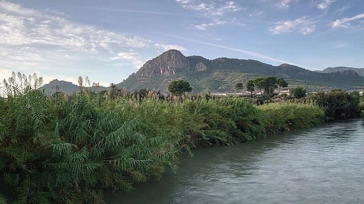 El tiempo - No se esperan fenómenos significativos