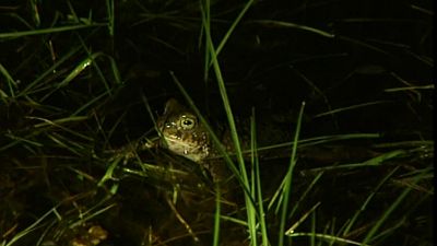 Los rincones del agua
