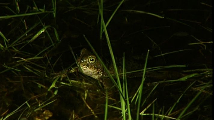 El universo escondido - Los rincones del agua