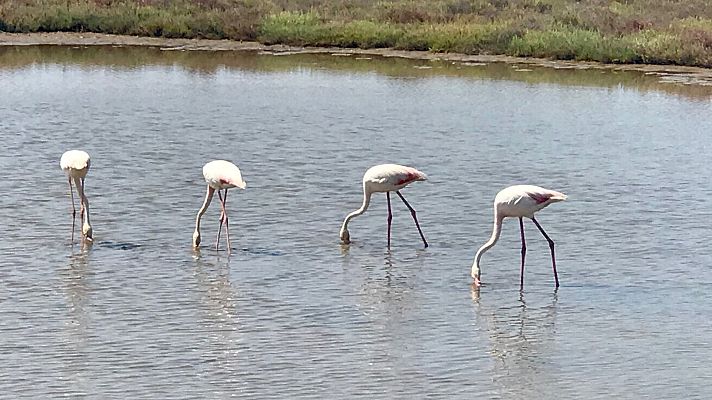 Para todos La 2 - Para todos La2 - 25/09/21 - Lengua de signos