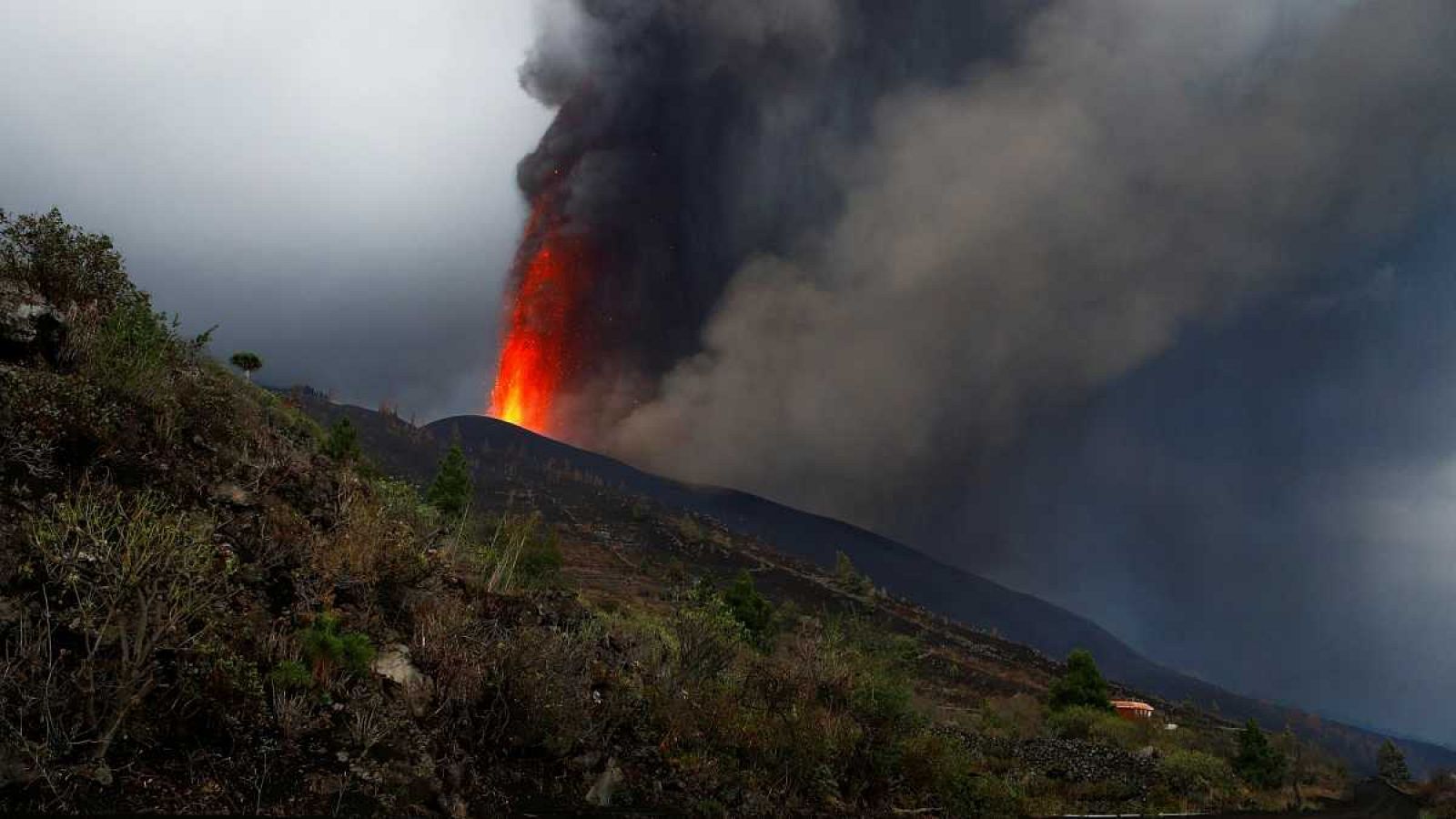 Estas son las emisiones del volcán de la palma y así afectan a la población - La hora de La 1 | Ver
