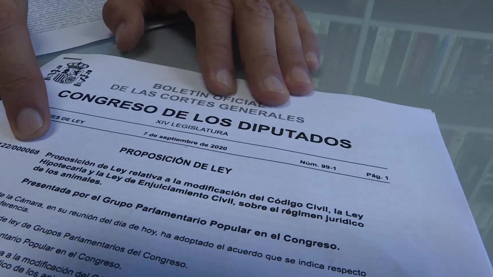 Reforma que reconocerá a las mascotas como seres que sienten - Comando Actualidad | Ver
