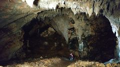 Crónicas - Revolución Atapuerca