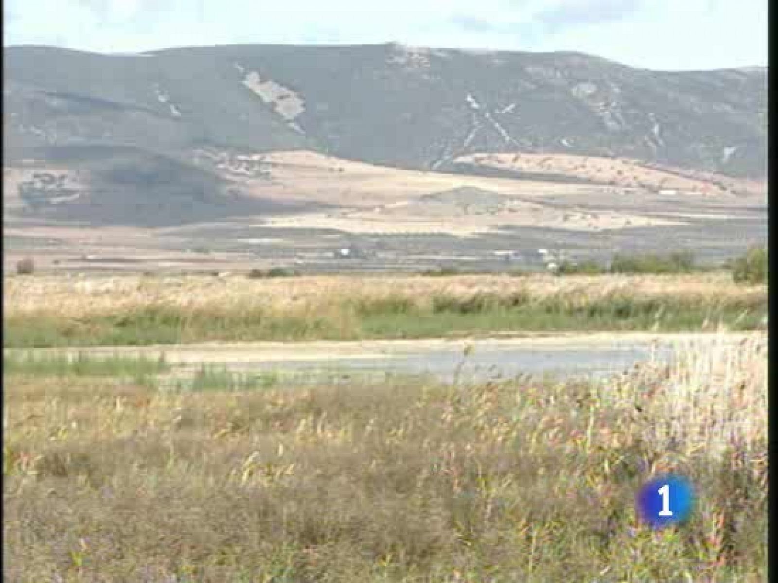 La UE ha pedido al Gobierno Español un informe detallado sobre las causas de la degradación de las Tablas de Daimiel