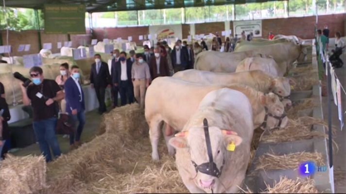 Inauguración de la Feria Ganadera de Zafra 2021