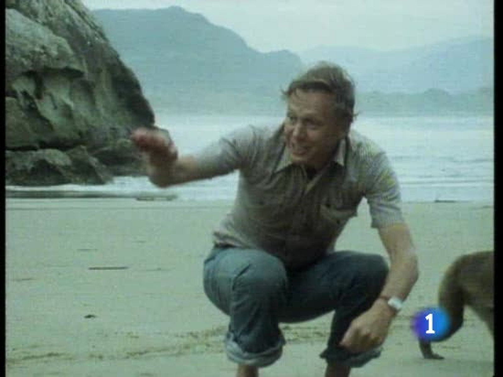 El ganador del Príncipe de Asturias de ciencias sociales, el naturalista David Attenborough - Premios Princesa de Asturias | Ver
