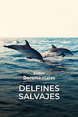 Delfines salvajes