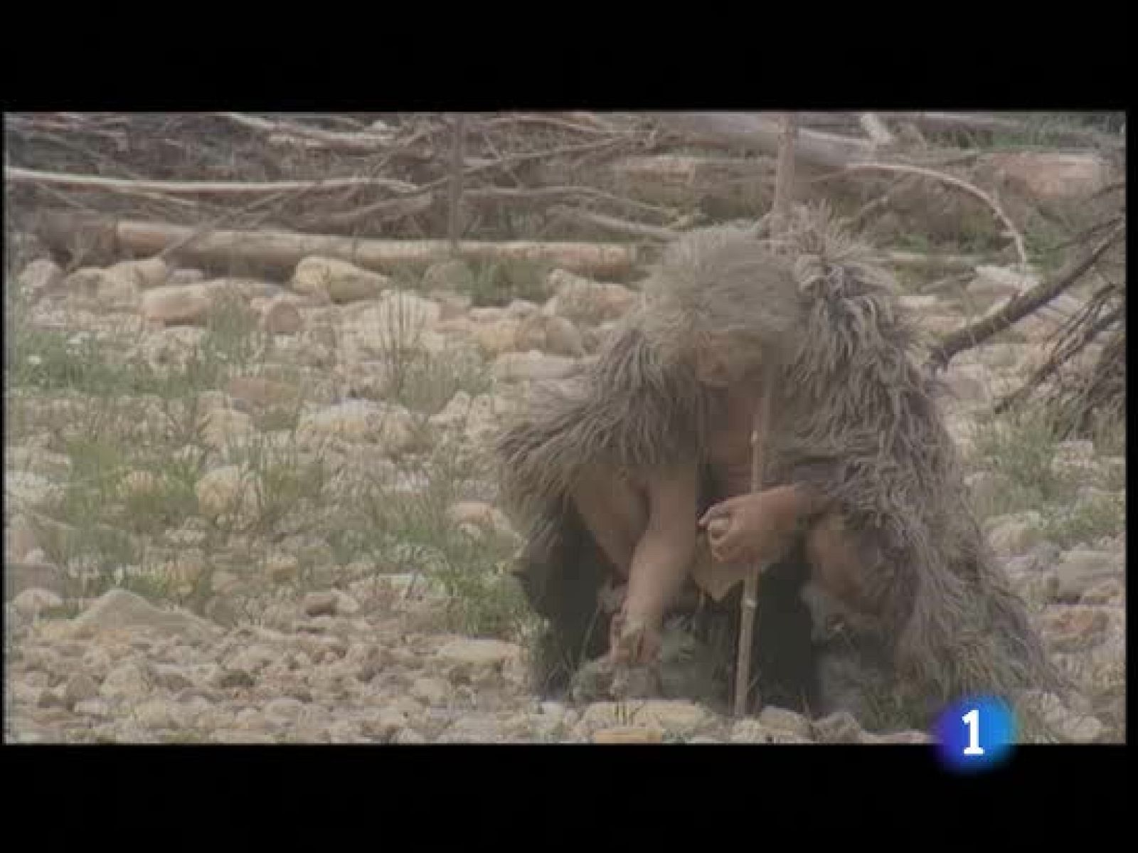 Materiales del futuro: tejidos nutritivos, plásticos invisibles, materiales con memoria - Ciencia y tecnología en Rtve.es | Ver