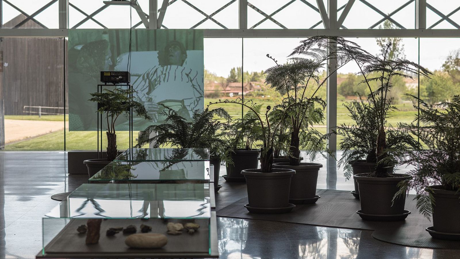 Metrópolis - A punto de ser nada - ver ahora