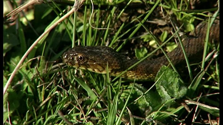 El universo escondido - La frontera líquida