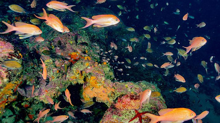 Para todos La 2 - Para todos La 2 - 02/10/21