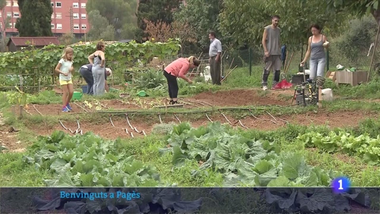 'Benvinguts a pagès', com és viure al camp i com s'hi treballa?