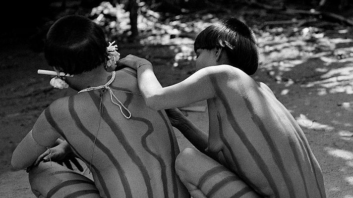 Metrópolis - Amazonía