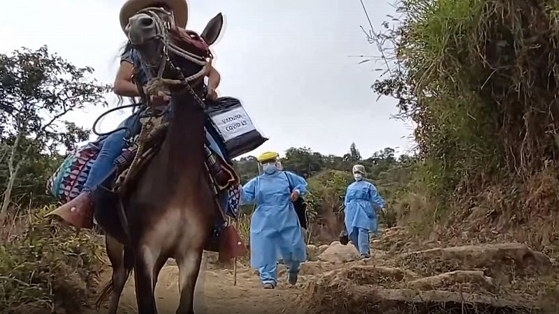 La 'ruta en mula' de la vacuna en Perú - Ver ahora