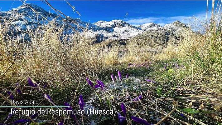 Chubascos localmente fuertes, muy fuertes en Baleares y en el este de Cataluña. Precipitaciones localmente persistentes en el Pirineo oriental. Intervalos de viento fuerte en el litoral Cantábrico occidental, Ampurdán, bajo Ebro, Baleares y Canarias