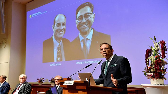 Telediario 1 - Nobel a los descubridores de receptores de la temperatura