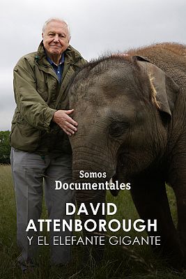 David Attenborough y el elefante gigante