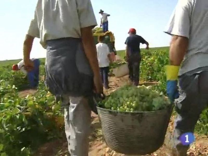  Noticias Castilla-La Mancha. Informativo de Castilla-La Mancha. (23/10/09).