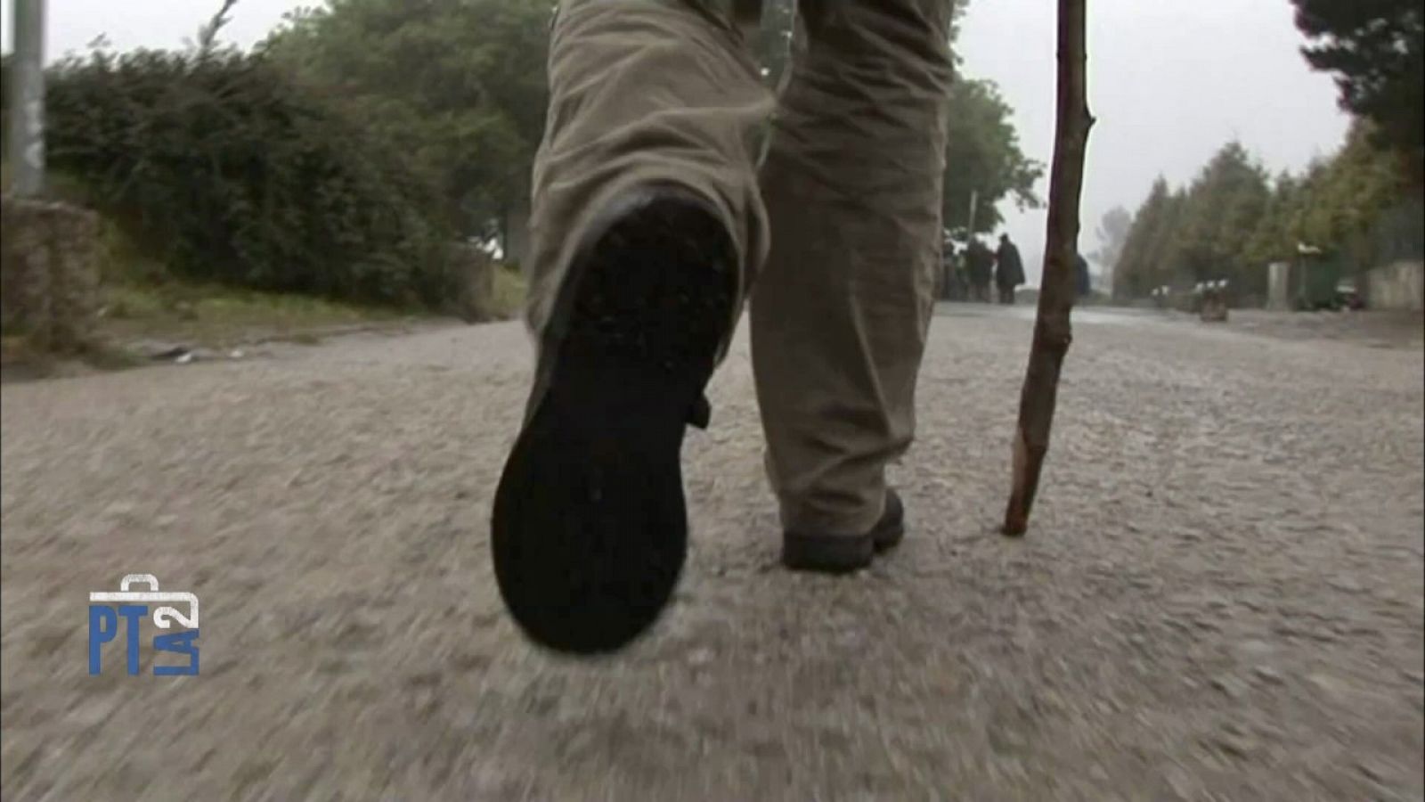 Hacer el Camino de Santiago es muy saludable