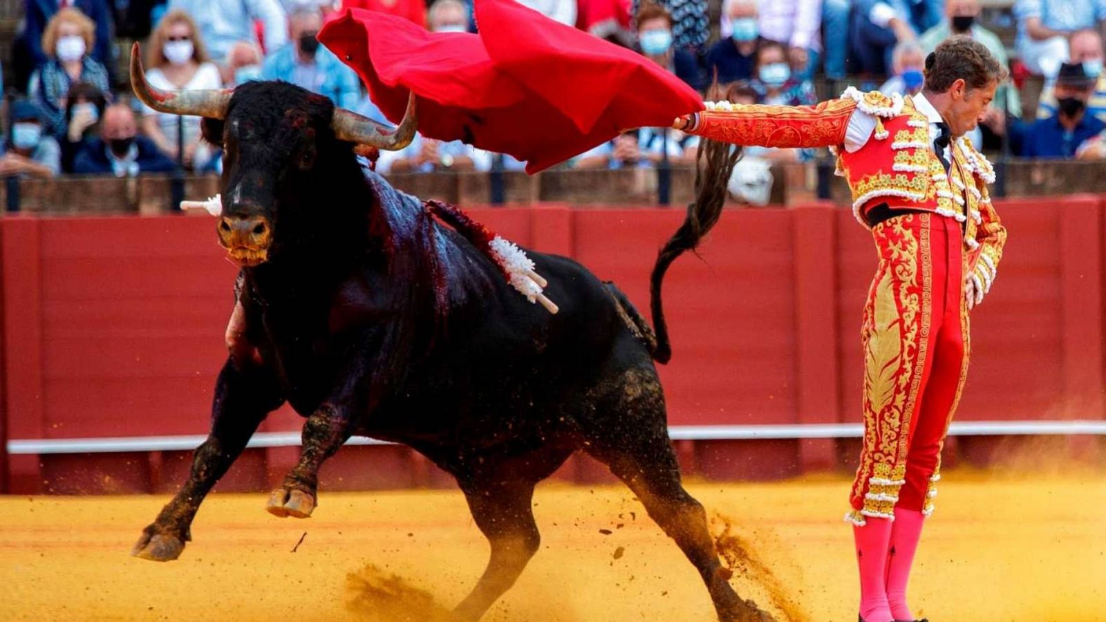 Cultura confirma que los toros se quedan fuera del bono cultural para jóvenes - RTVE.es