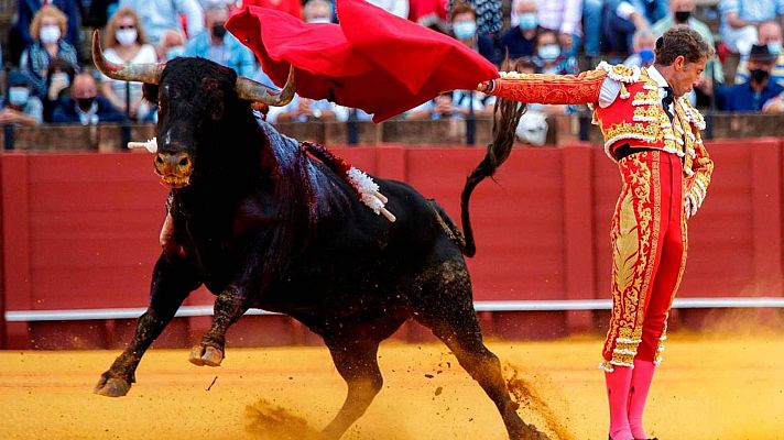 Telediario 1 - Cultura deja a los toros fuera del bono cultural