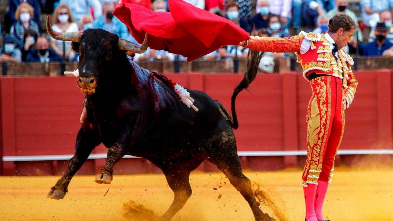 Cultura confirma que los toros se quedan fuera del bono cultural para jóvenes