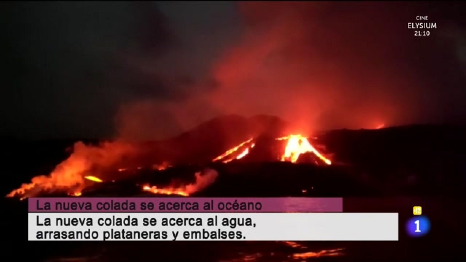 Cerca de tiI - 08/10/2021