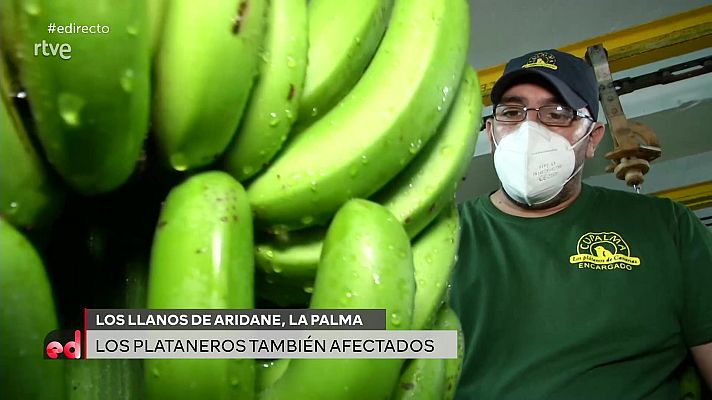 España Directo - España Directo - 08/10/21