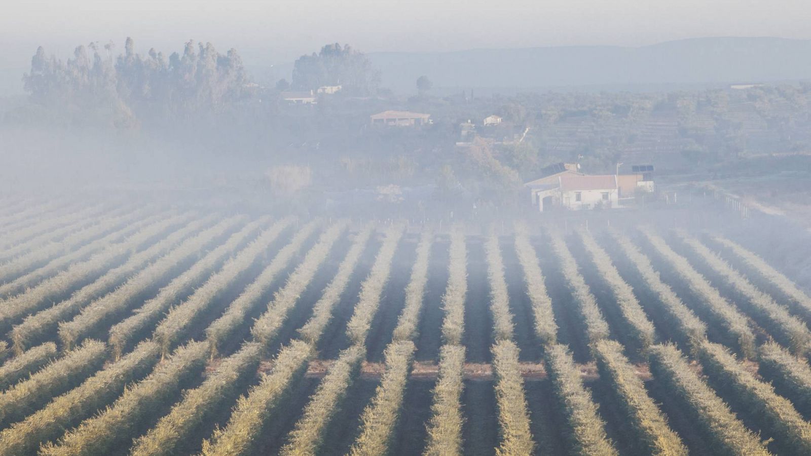 Extremadura podría superar el número de visitantes de antes de la pandemia - RTVE.es