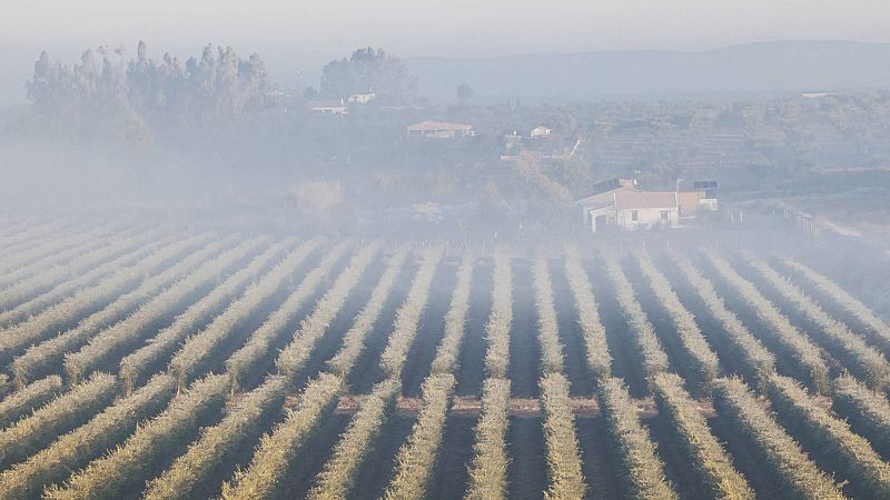 Extremadura recupera el turismo y podría superar el número de visitantes de antes de la pandemia