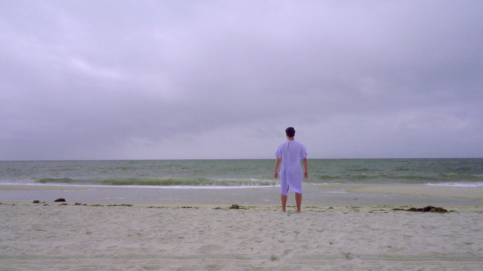 La noche temática - Cabeza alta - ver ahora