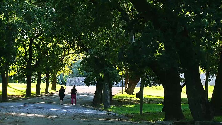 Santiago de Compostela, verde que te quiero verde