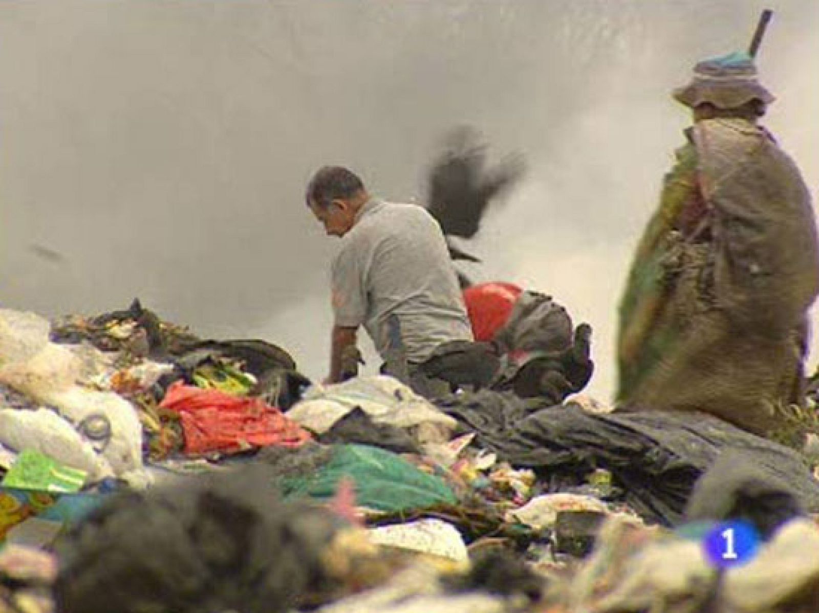 Informe semanal - Crecer en la basura | Ver