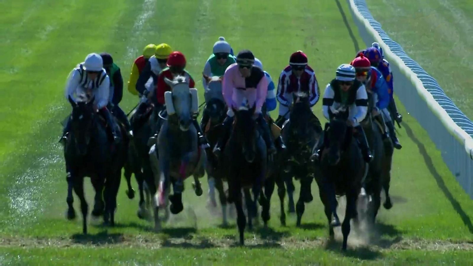 Hípica - Circuito nacional de carreras de caballos, desde el Hipódromo La Zarzuela - ver ahora
