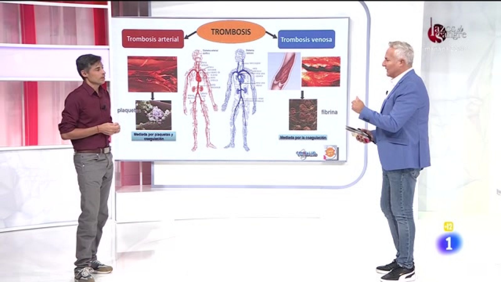 Cerca de ti - 13/10/2021