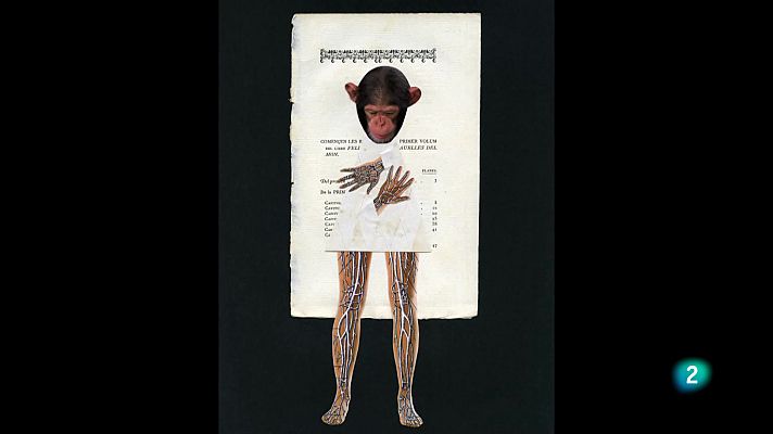 La aventura del Saber - Boek visual: Antonio Gómez