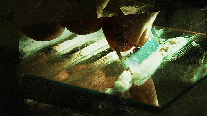 Más allá de la telaraña: La economía ilícita